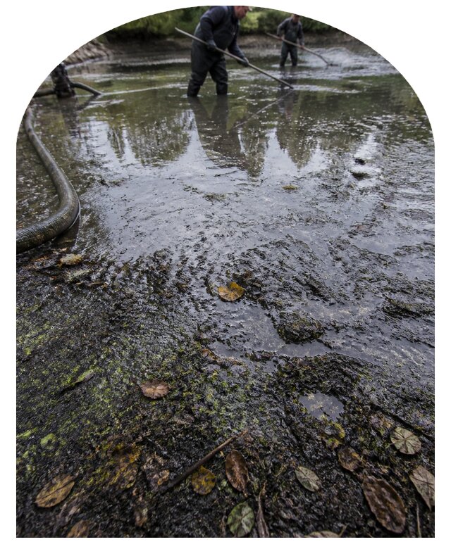 Очистка пруда в Арзамасе от ила мусора и водорослей с вывозом